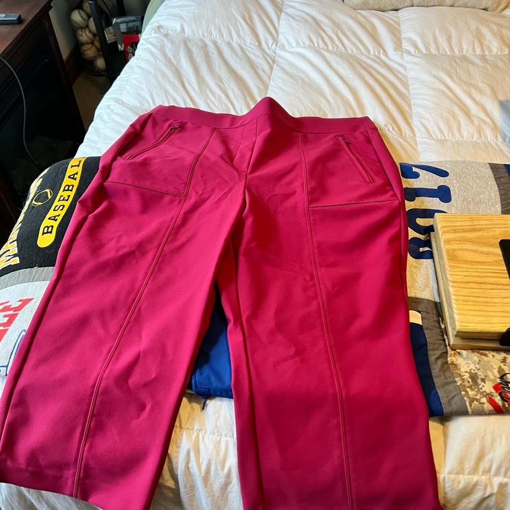 Lane Bryant Pink Wide Leg Pants